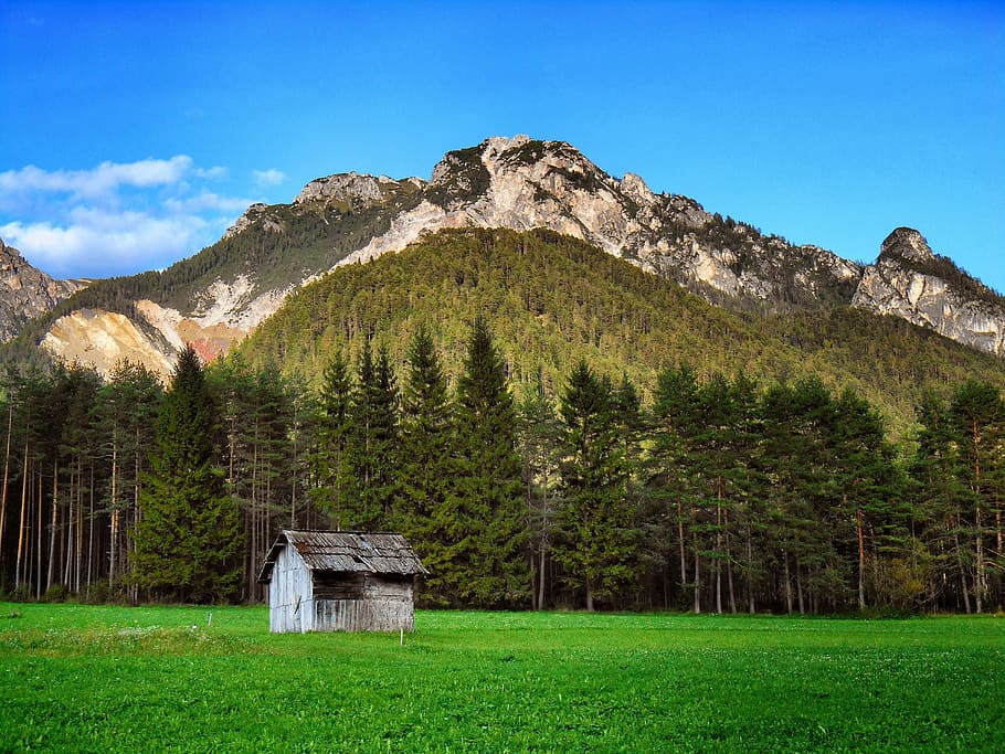 mountain lodge, green, meadows, val badia, cottage, sky, nature