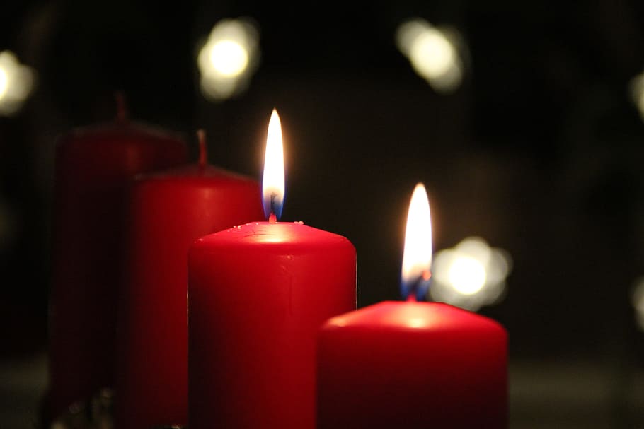 close-up photo of lighted red candles, advent, christmas, fire HD wallpaper