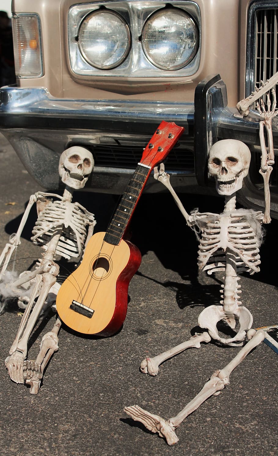 ukulele beside skeletons, Dia De Los Muertos, afterlife, mexican holiday, HD wallpaper