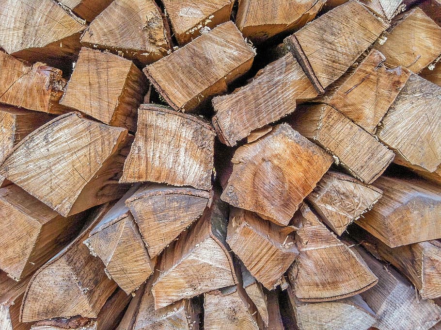 wood, cut wood, wood pile, logs, cup, nature, stere, slaughter, HD wallpaper