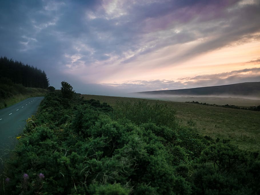 grass field scenery, photo of road during cloudy daytime, roadside HD wallpaper