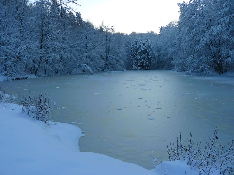 frozen body of water surrounded by trees, winter, lake, ice HD wallpaper