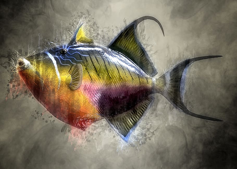 gray and yellow fish illustration, colorful, trigger fish, taxidermy