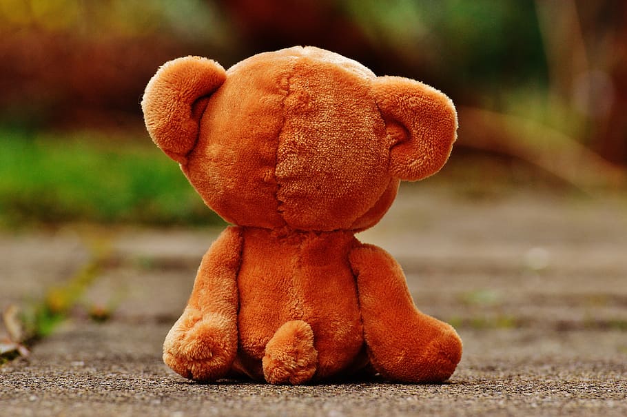 bear, teddy, lonely, love, longing, miss, soft toy, stuffed animal, HD wallpaper