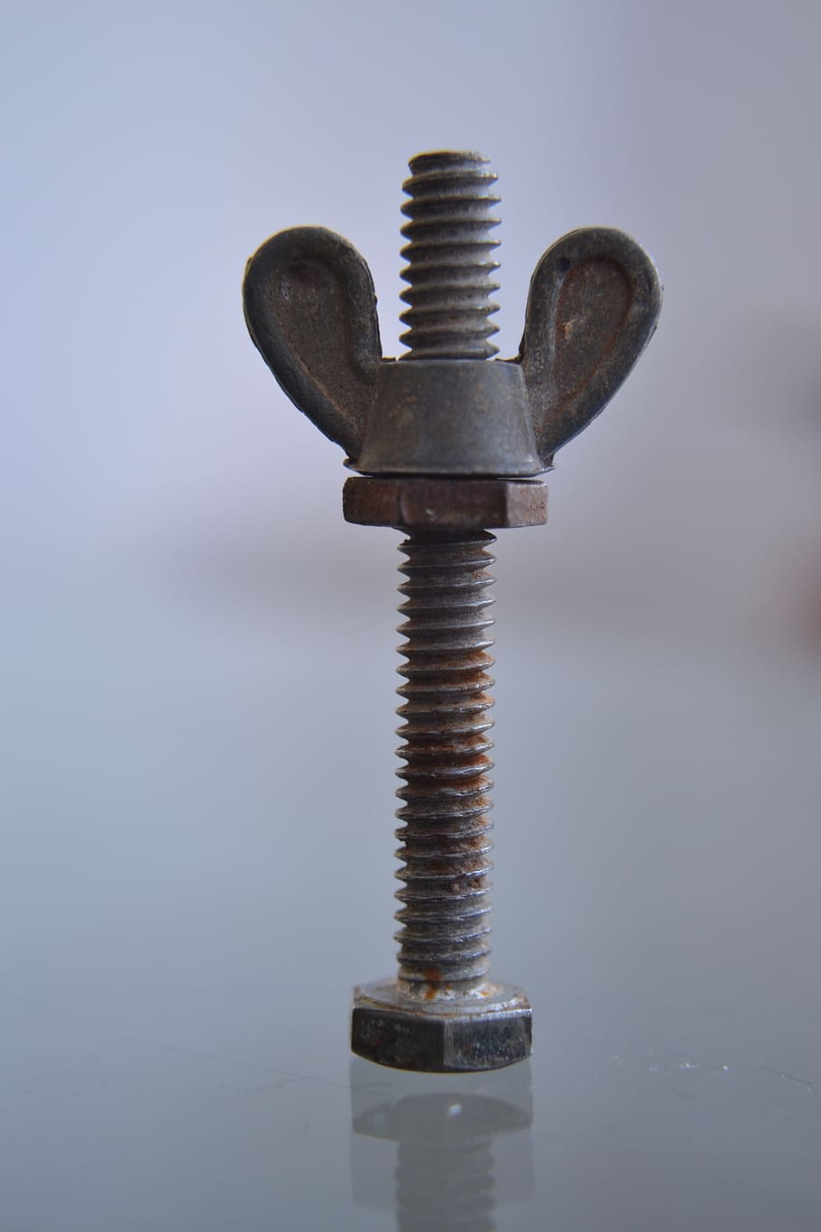 screw, wing nut, spiral, tool, useful, joinery, utility, work HD wallpaper