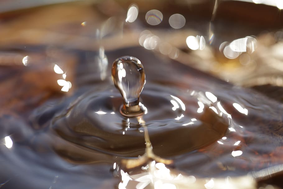 drip, close up, drops closeup, close-up, motion, water, no people HD wallpaper