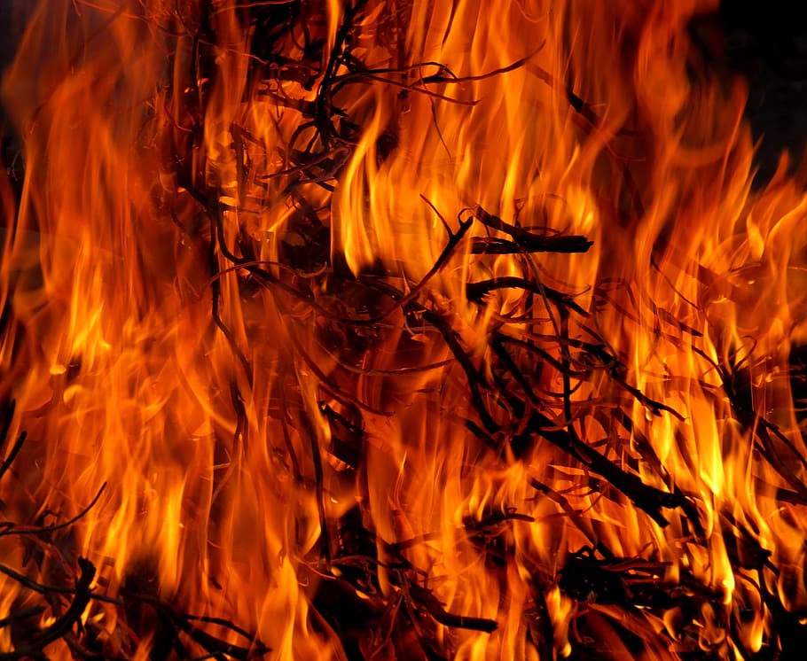 red fire digital wallpaper, easter, easter fire, flame, embers HD wallpaper