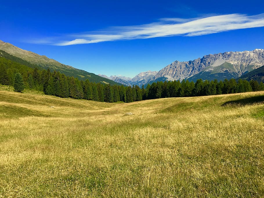 landscape photography of trees away from mountains, nature HD wallpaper