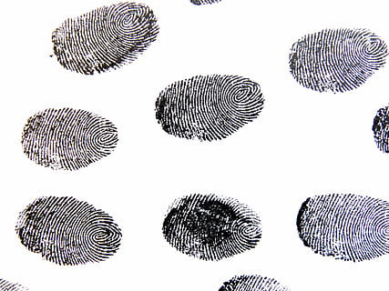 finger prints, fingerprint, traces, pattern, detective, contrasts HD wallpaper