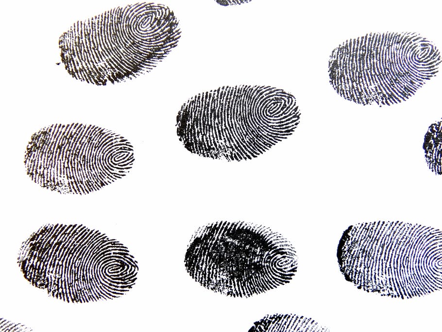 finger prints, fingerprint, traces, pattern, detective, contrasts HD wallpaper
