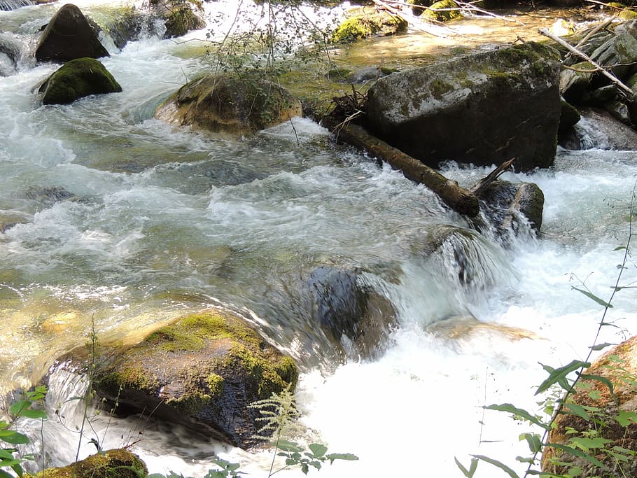 Water, Forest, Nature, River, no people, motion, outdoors, rock HD wallpaper