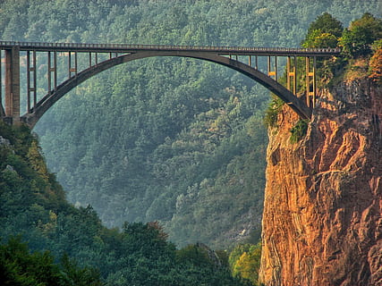 bridge surrounded by trees, river, tara, rock, the abyss, cliff HD wallpaper