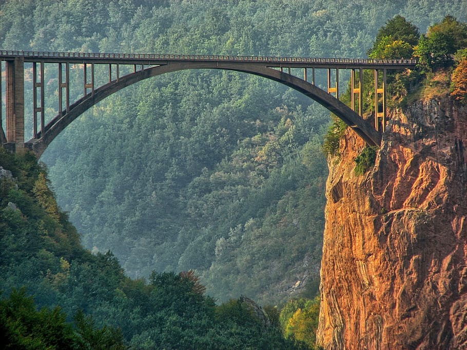 bridge surrounded by trees, river, tara, rock, the abyss, cliff