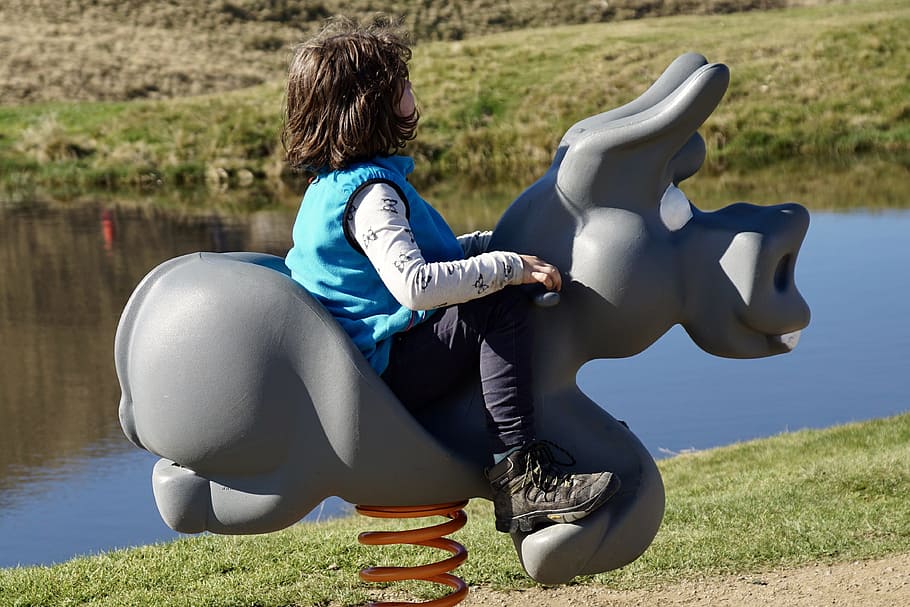 girl riding animal spring rider, child, swing, playground, children's playground HD wallpaper