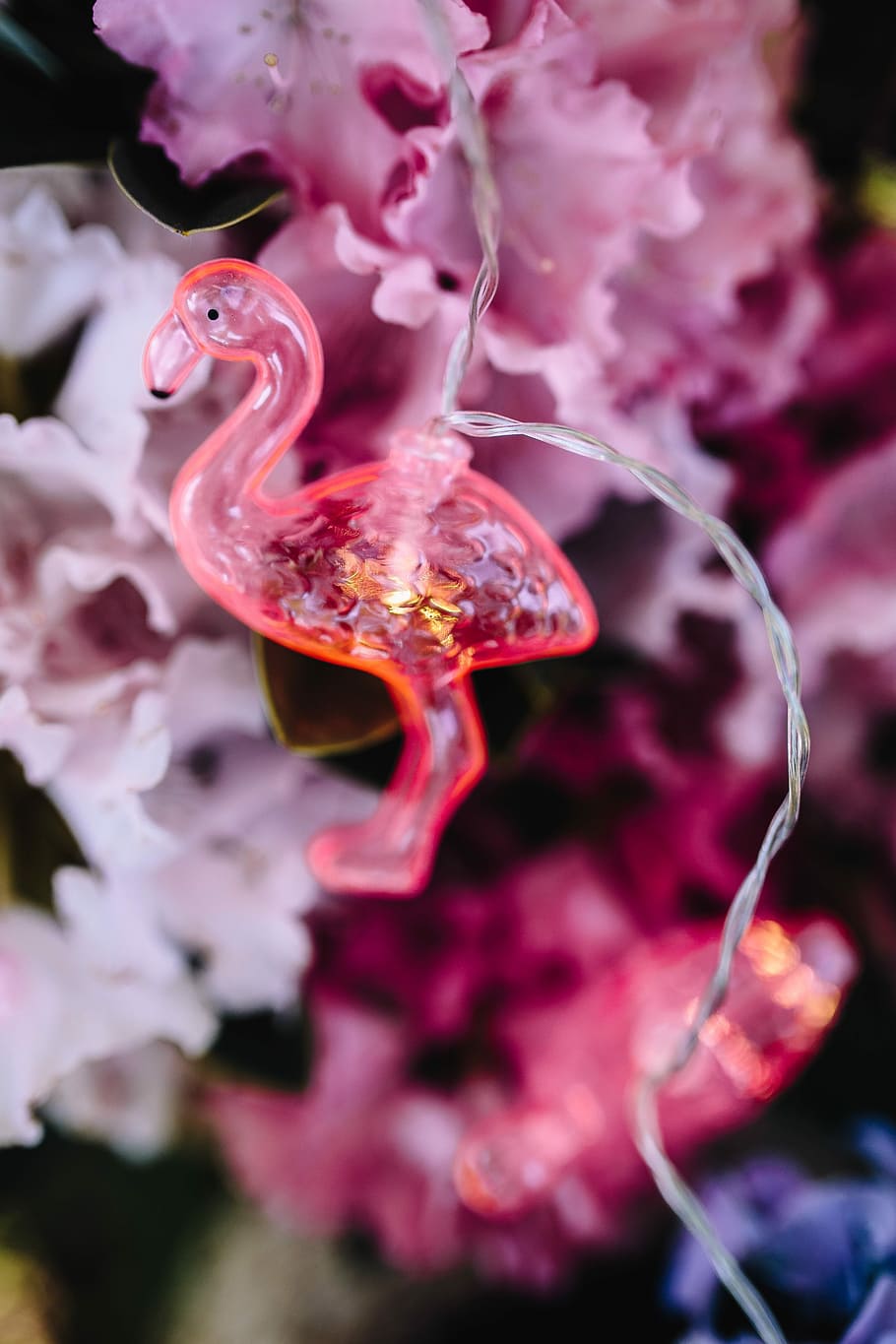 Flamingo light garland & pink flowers, summer, lamp, fun HD wallpaper