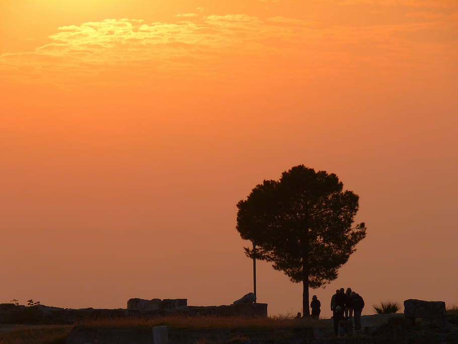 sunset, abendstimmung, tree, romance, orange color, sky, silhouette HD wallpaper