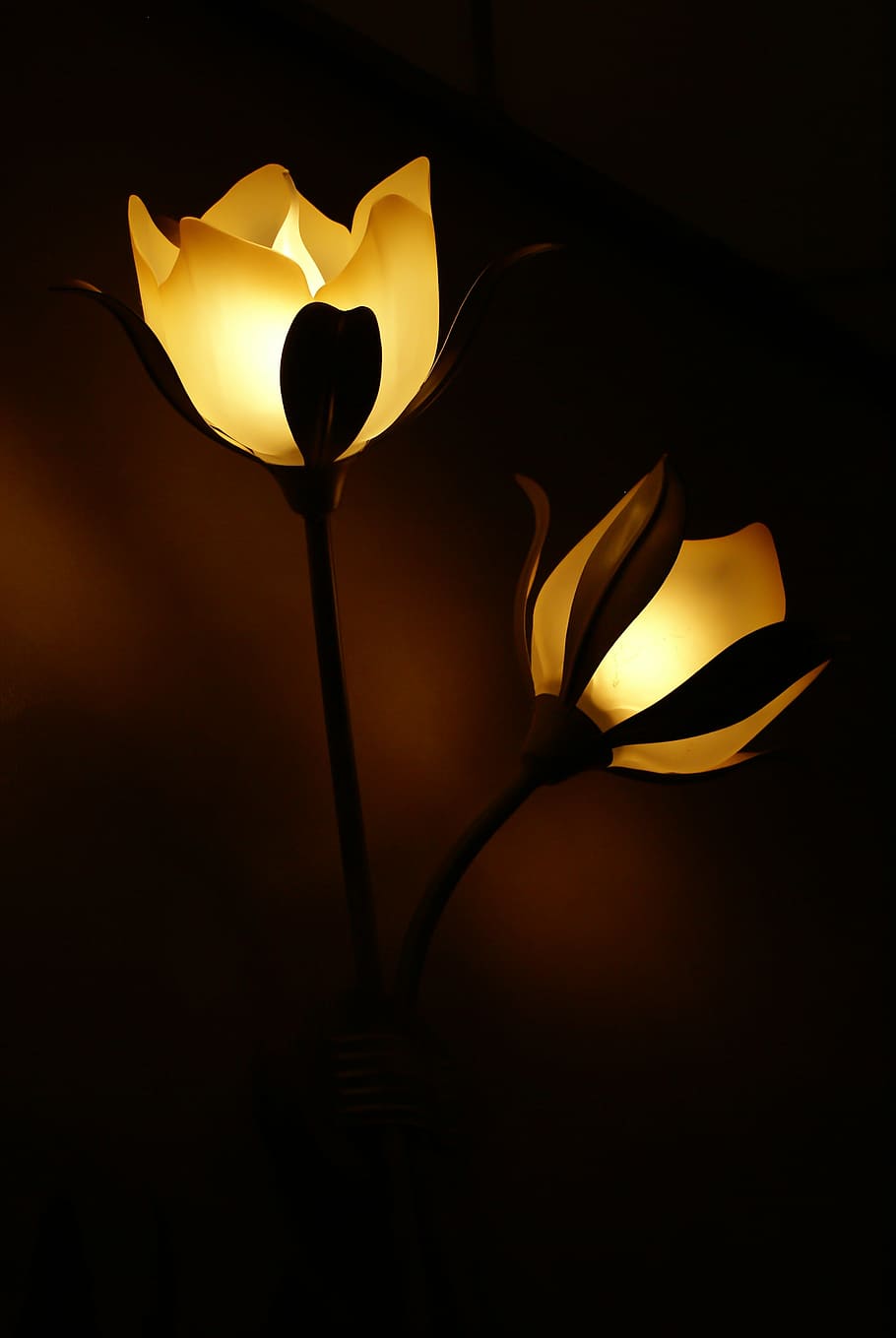 two yellow lighted flower lamps, lighting, dark, wall lamp, atmosphere, HD wallpaper