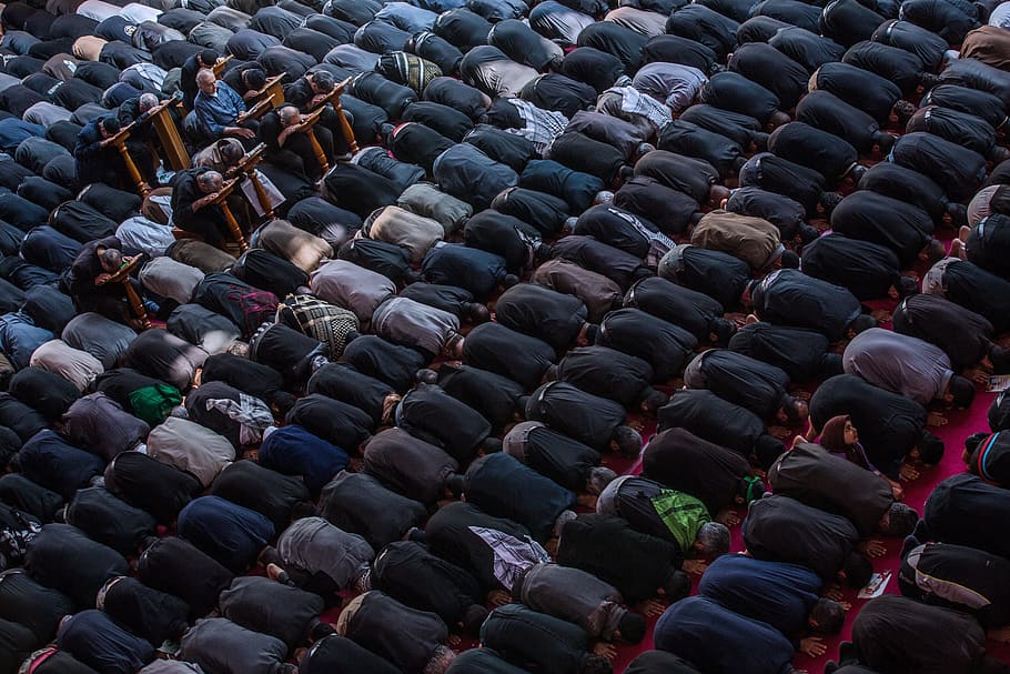 many, audience, people, group, muslim, pray, in a row, group of people