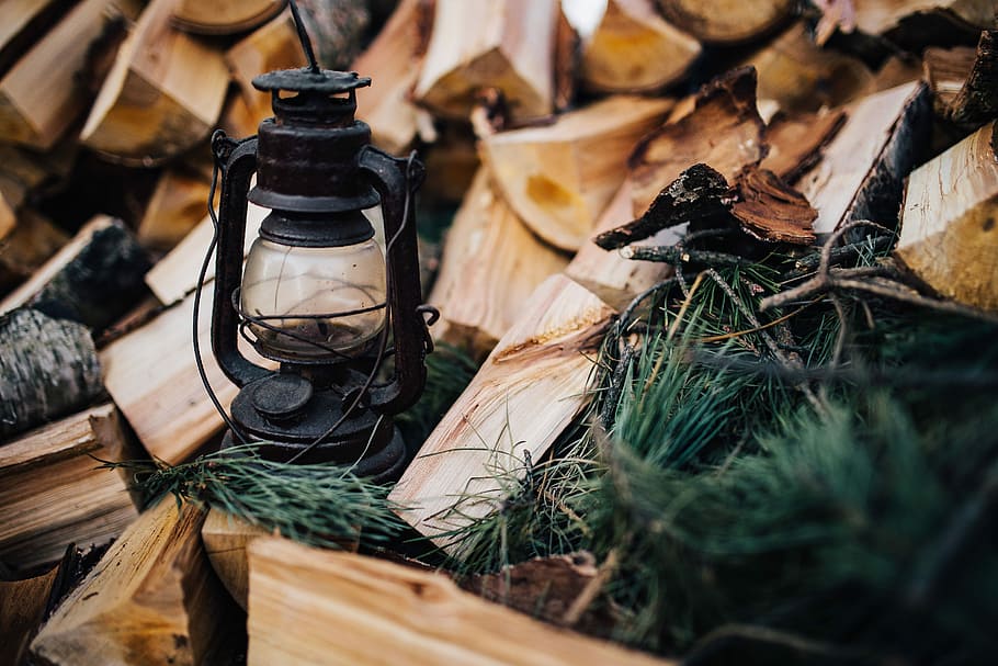 Chopping wood in the forest, lantern, trees, firewood, timber HD wallpaper