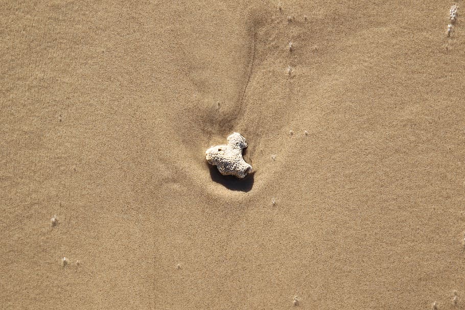 beach, sand, sea, ocean, hot, holiday, natural, surf, caribbean HD wallpaper