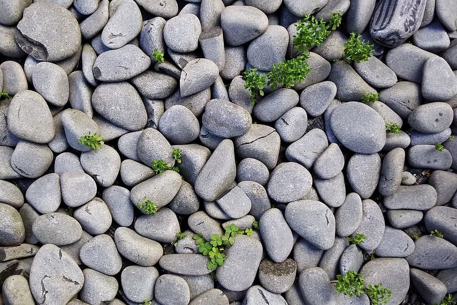 grey stone lot, rocks, stones, background, gray, texture background HD wallpaper