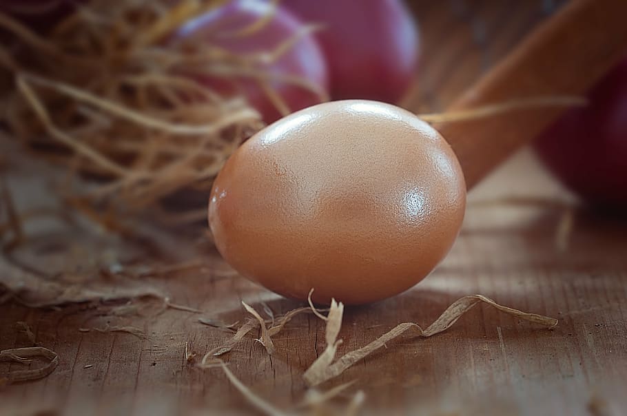 brown egg beside nest, easter egg, color, colored, customs HD wallpaper