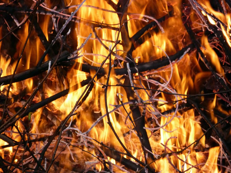 Fire, Burning, Hot, Flame, Wood, Blaze, warm, heat - temperature HD wallpaper