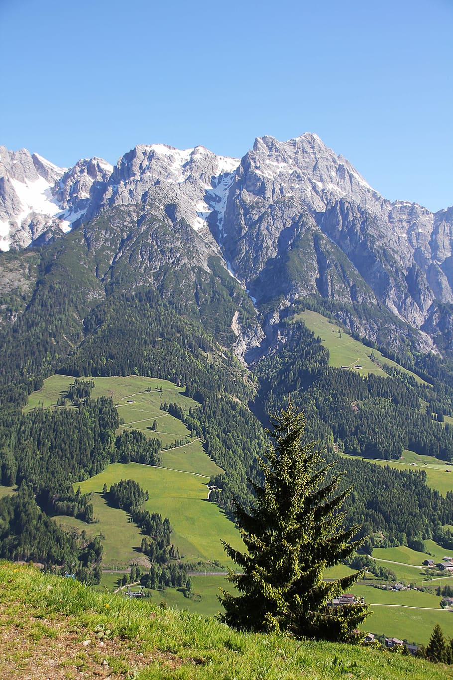 Mountain, Alpine, Austria, Tree, Snow, summit, holiday, outlook HD wallpaper