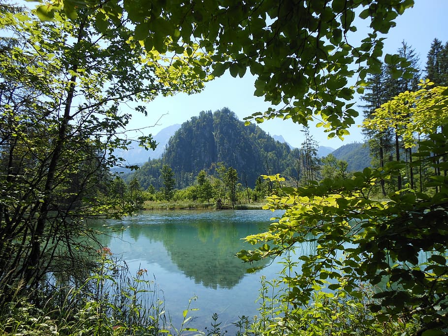 Nature, Landscape, Almsee, reflection, tree, lake, mountain HD wallpaper