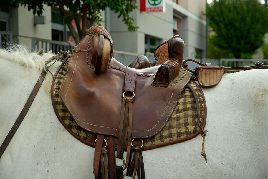 camargue, horse, saddle, leather, mammal, livestock, domestic animals, HD wallpaper