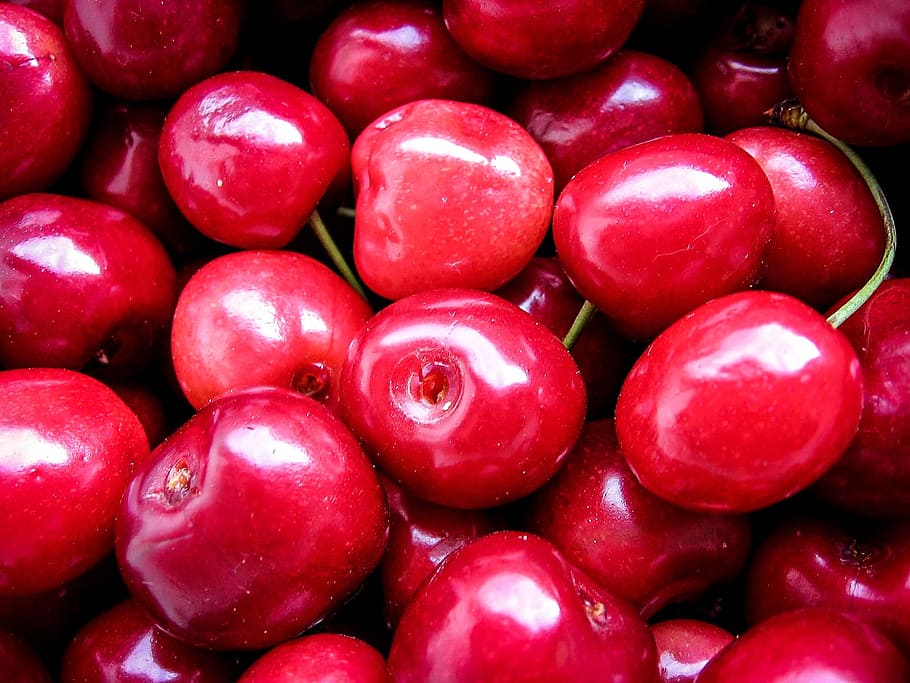 cherries, fruits, red, macro, sweet, food, fresh, organic, juicy HD wallpaper