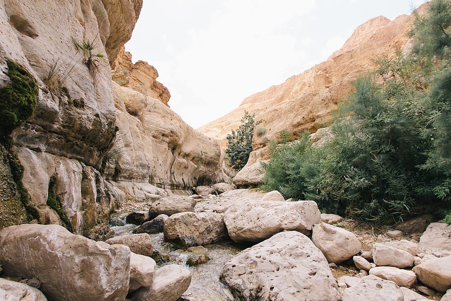 boulder beside on valley and bushes, brown rock formation under white sky at daytime HD wallpaper