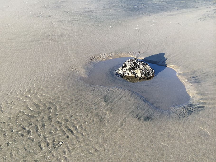 sand, beach, coast, sandy, shore, rock pool, shadow, land, water HD wallpaper