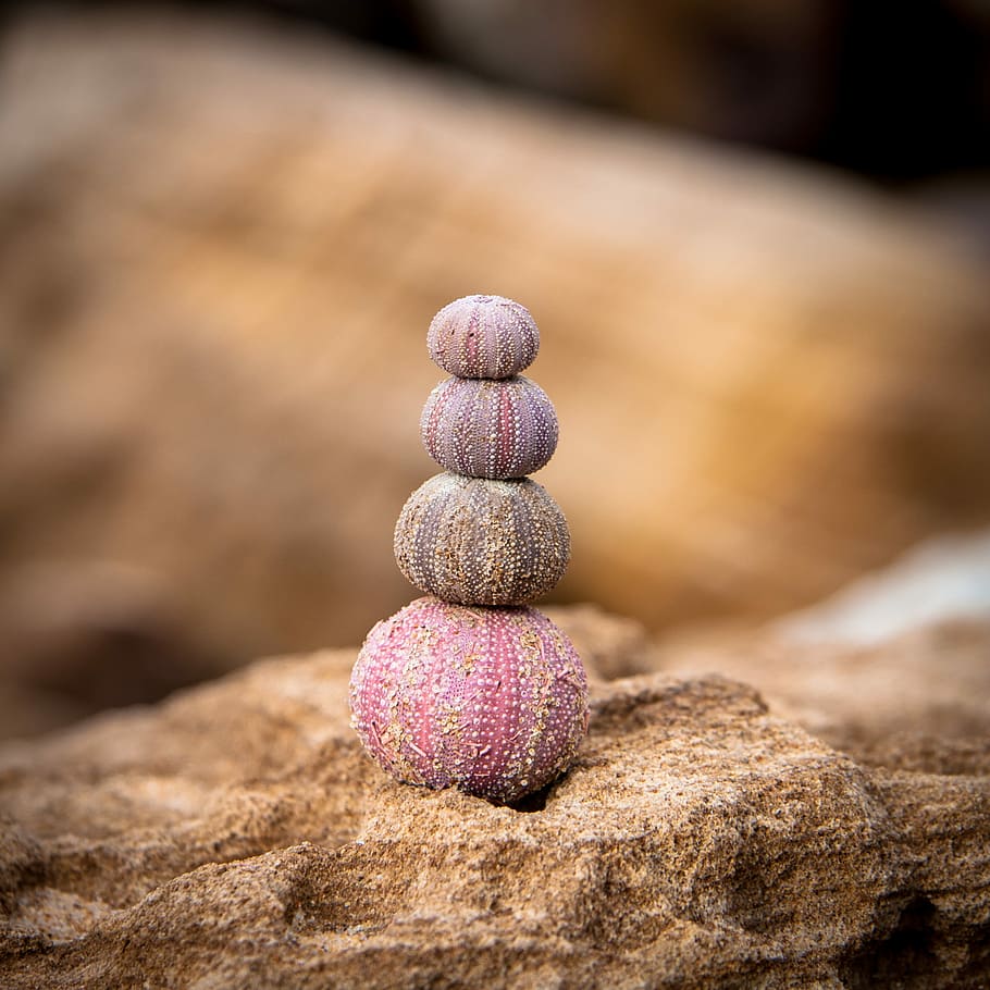 stacked of pink seeds on brown boulder, selective focus photography of balanced balls