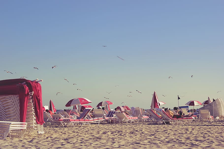 Beach, Miami, Birds, summer, sky, party days, holiday, peace HD wallpaper