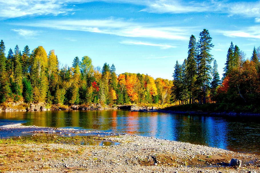 River, Landscape, Fall, Nature, autumn, forest, water, autumnal, HD wallpaper