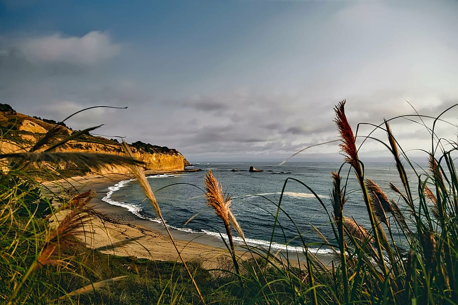 grass field near body of water, california, coastline, beach, HD wallpaper