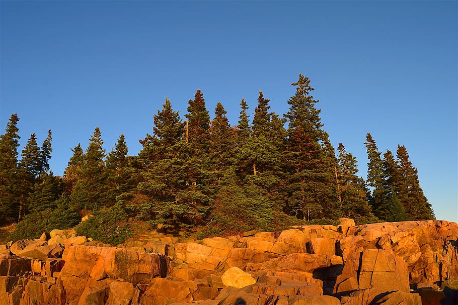 sunset, trees, rocks, pine trees, maine, nature, landscape HD wallpaper