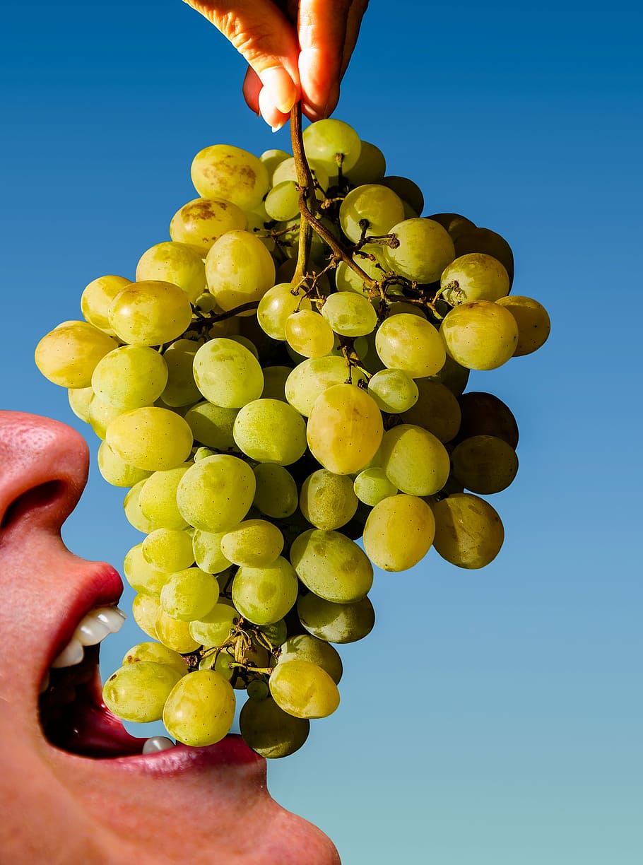 grapes, eat, fruit, keep, pick, harvest, vintage, green grapes HD wallpaper
