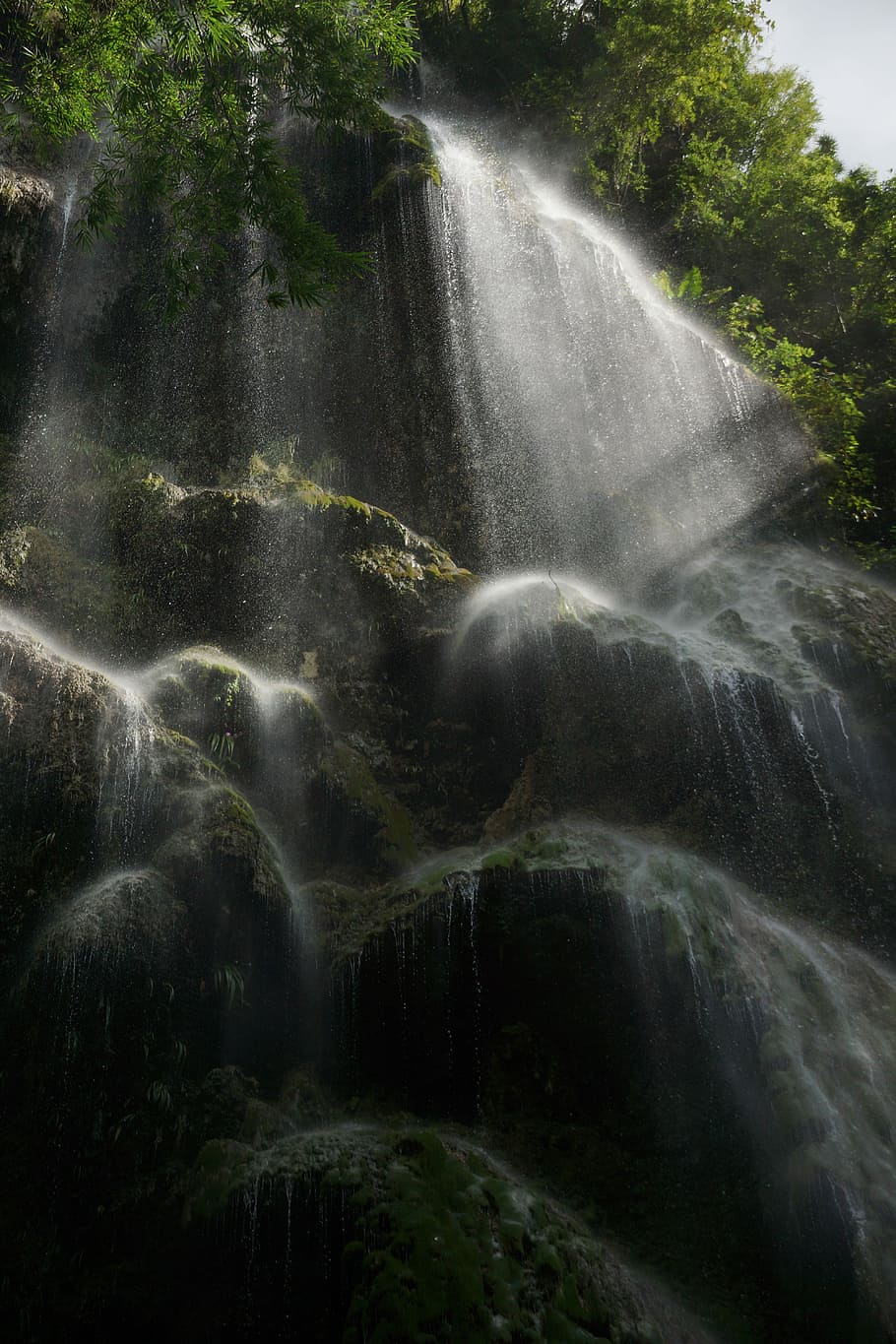 Waterfall, Rainforest, Nature, wilderness, tropical, jungle HD wallpaper