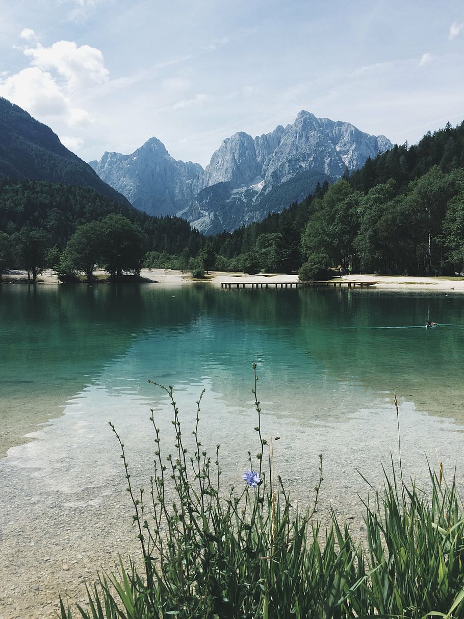 body of water surrounded by trees near mountain range, lake HD wallpaper