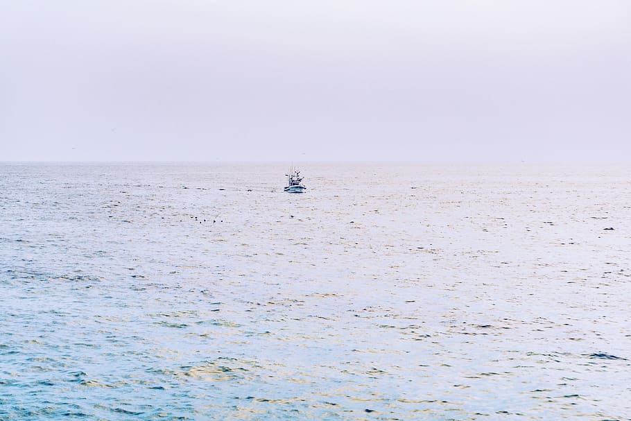 body of water in white background, sea, ocean, wave, coast HD wallpaper