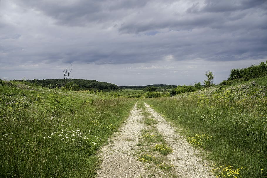 Hiking Path at Goose Lake State Wildlife Area, Wisconsin, clouds HD wallpaper
