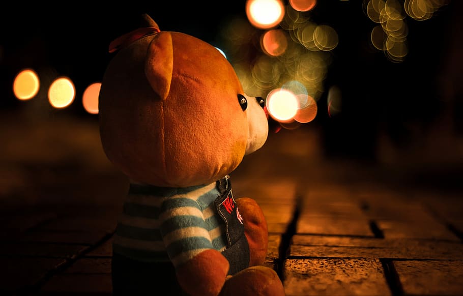 teddy, bokeh, light, blur, outdoors, childhood, celebration HD wallpaper
