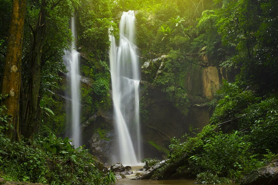 waterfall, forest, nature, landscape, river, green, rock, cascade, HD wallpaper