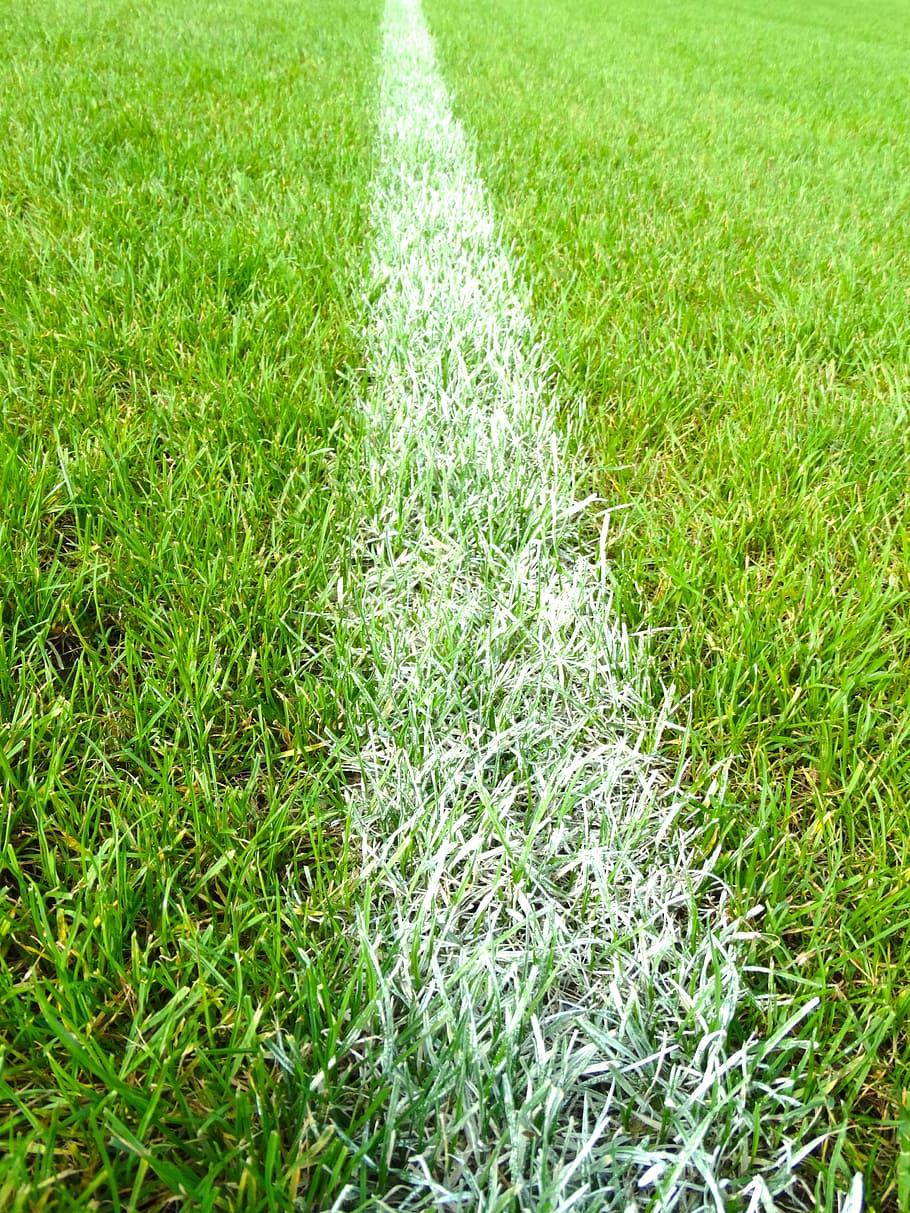 green grass field during day time, football field, line, mark, HD wallpaper