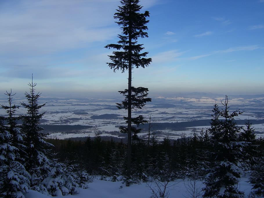 panorama, nature, view, landscape, łomnicka inclined, kotlina kłodzka HD wallpaper
