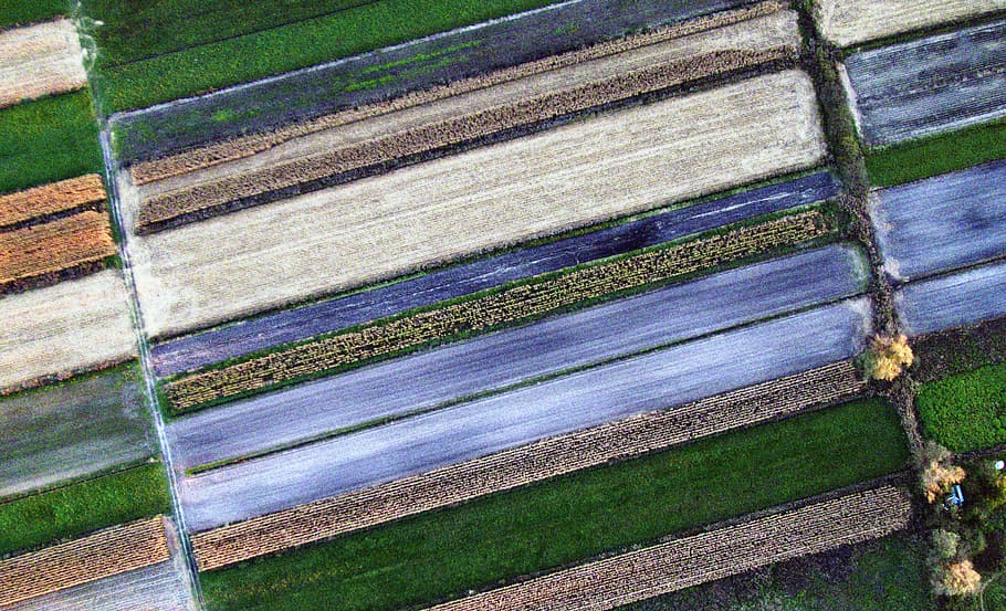 This bread is hard and tough …, bird's eye view of farm, aerial view HD wallpaper