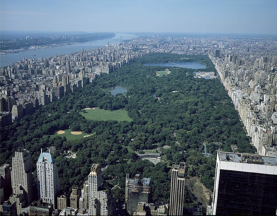 Central Park overview, manhattan, skyline, landmark, nyc, new york city HD wallpaper