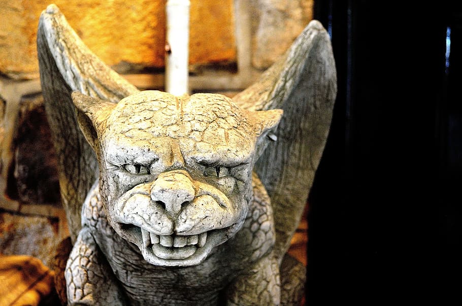 closeup photo of gray gargoyle statue, stone, monster, symbol HD wallpaper